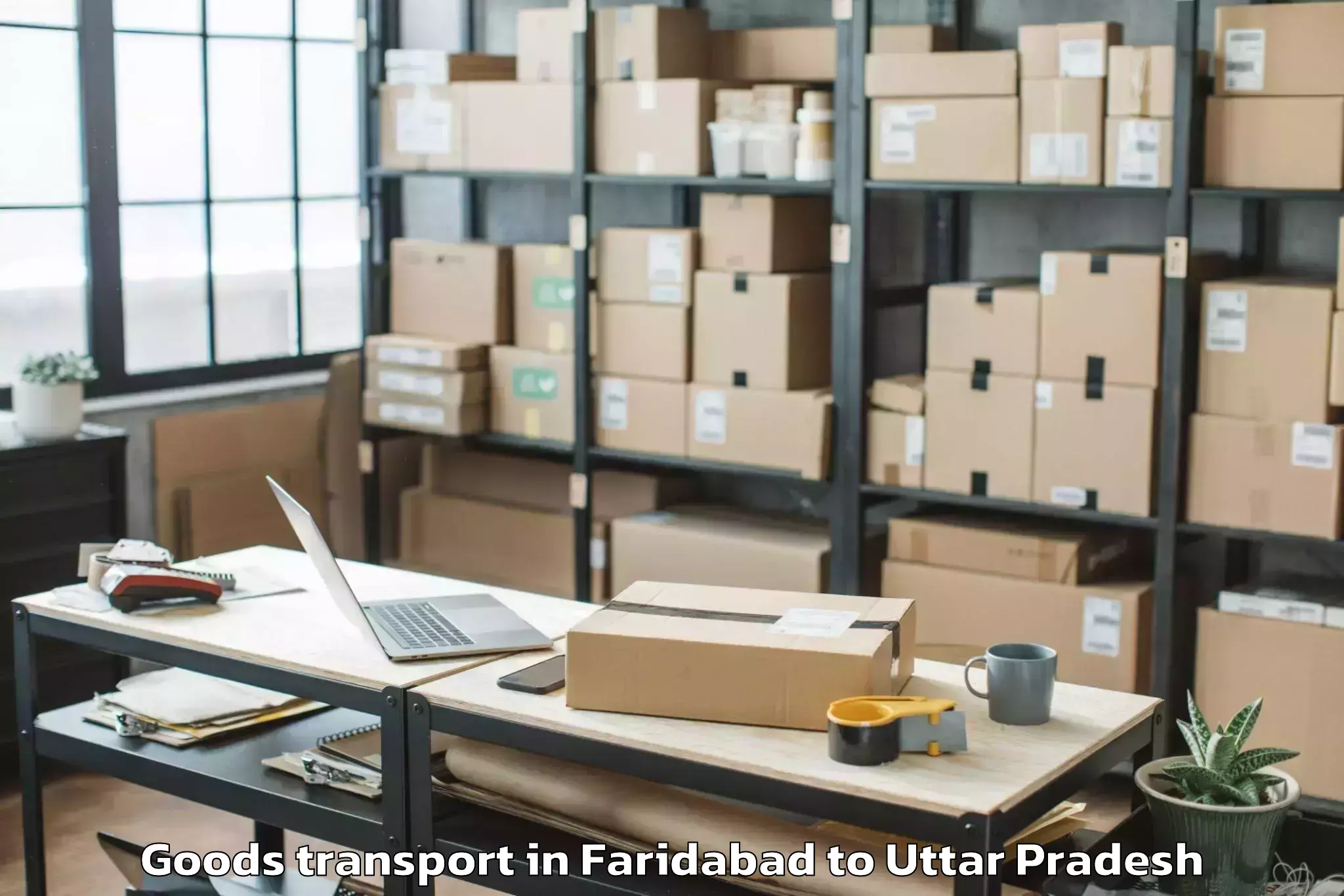 Expert Faridabad to Korai Goods Transport